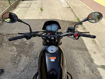 Predam Benelli Leoncino 500 - 4