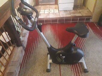 Fitnes silver olpran line - 4