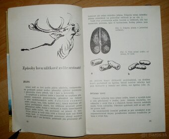 Lovecké praktikum - 4