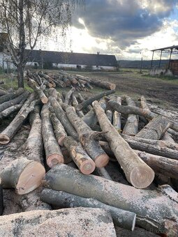 TVRDÉ PALIVOVÉ DREVO - 4