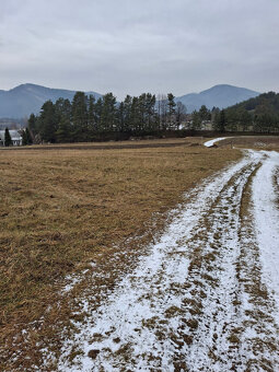 Predaj orná pôda Rajecká Lesná - 4