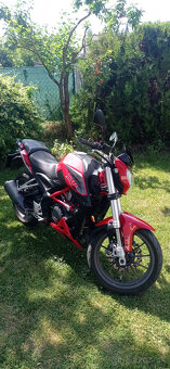 Benelli BN251 - 4