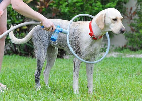 Nastaviteľná sprcha pre domácich maznáčikov - psy a ďalšie - 4