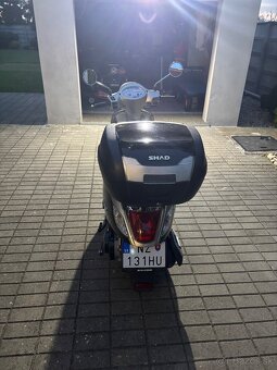 Sym fidlle 3 125 cm - 4