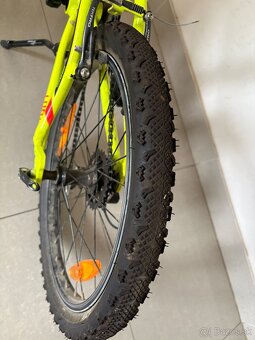 Kelly’s Lumi 30 - 4