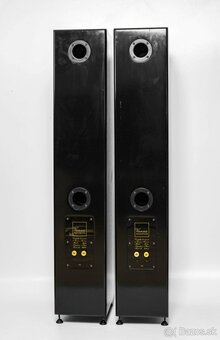 Vienna Acoustics Apis - 4