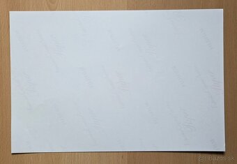 Charles Leclerc Ferrari originální autogram - 4