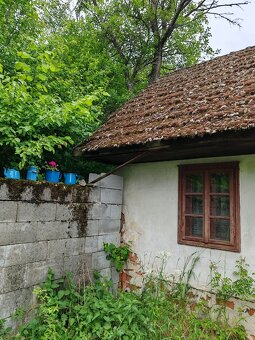 Predaj kopaničiarska chalupa Brezová pod Bradlom - 4