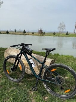Kona cinder cone M - 4