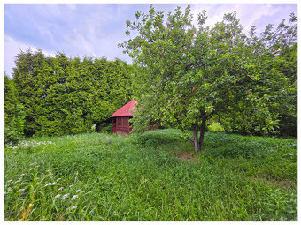 DOHODA / DOM / CENTRUM BB / pár krokov od Námestia SNP - 4