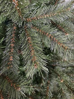 Vianocny stromcek - 4