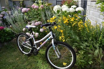 Dievčenský BICYKEL KENZEL YUM RF24 - 4