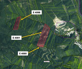 Vrútky – 14.500 m2 LES - 4