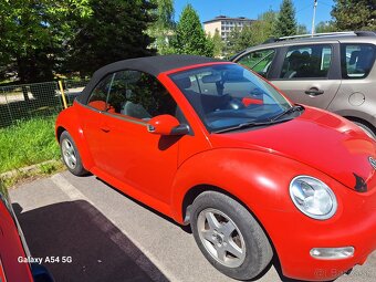 Beetle - 4