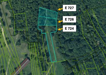Omastiná – 9.909 m2 LESY a PASIENKY – PREDAJ - 4