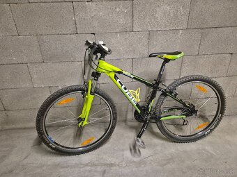 Cube Race 260 - 4