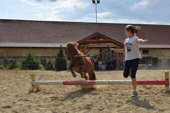 Letný jazdecký tábor - 4