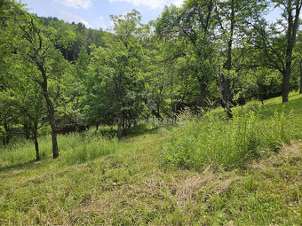Na predaj stavebný pozemok v lese a napriek tomu len 10 minú - 4