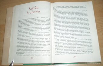 Hnedý vlk - 4