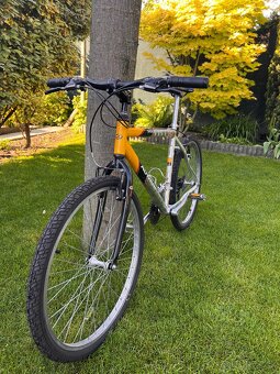 Author bicykel - 4
