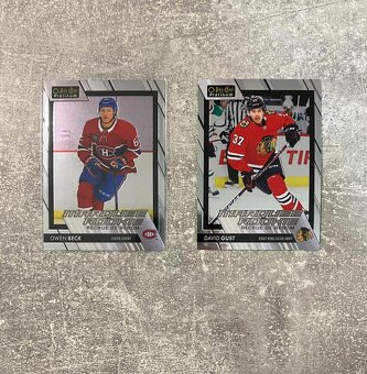NHL Hokejové kartičky OPC Platinum Marquee Rookies - 4