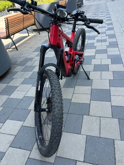 Riese & Müller Delite Rohloff 2020 - 4