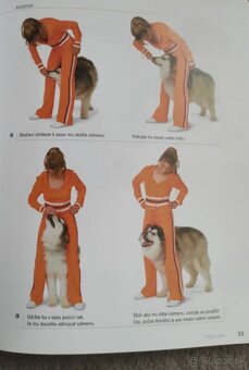 101 psích trikov - Kyra Sundance, Chalcy - 4