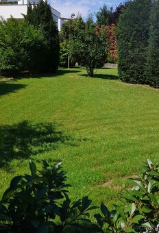 Výkopové a zemné práce s minibagrom a frézovanie pozemkov  P - 4