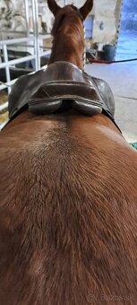 Sedlo Cliff Barnsby Whitaker, tmavohnede - 4