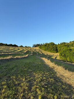 Seno, okrúhle balíky, doprava - 4