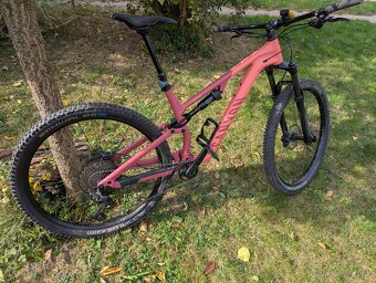 Canyon Neuron 5 L 2024 - 4