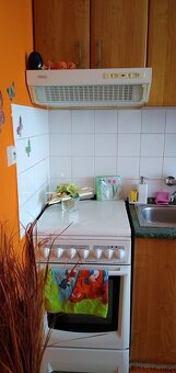 1 izbový byt v Detve - 4