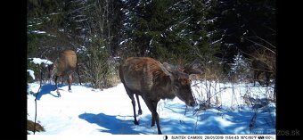 fotopasca mms suntek 300 801 900 940 950 960M/lte/pro/a - 4