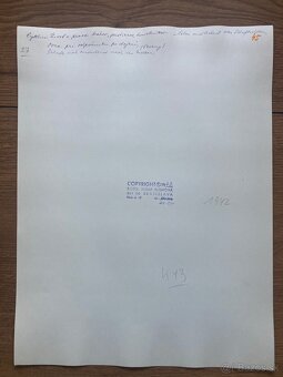 Fotografie Irena Bluhová (1904-1991) - 4