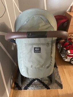 4 baby Stinger Pro Olive 2024 - 4