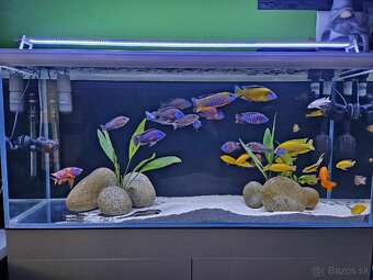 LED svetlo na akvárium do 200cm/75w - 4