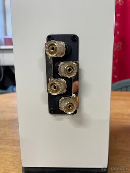 Wharfedale Diamond 11.3 white - 4