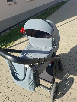 Roan ivi - 4