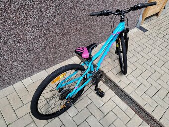 Kellys Kitter 50 - 4