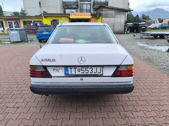 Mercedes-Benz W124 250D - 4