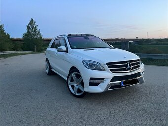 Mercedes-Benz ML350CDI BlueTEC 4MATIC - 4