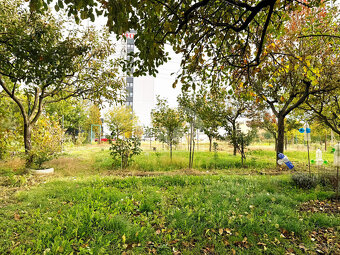 Krásna záhradka na Továrenskej ulici v Michalovciach - 4