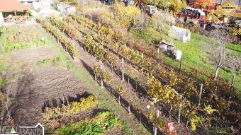 PREDAJ - RODINNÝ DOM S GARÁŽOU AJ VINOHRADOM 771 m² - 4