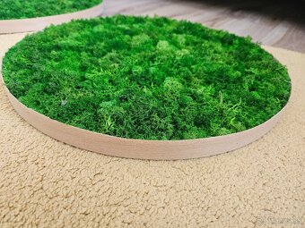 Predám machové obrazy Ø 30cm + Ø 40cm + Ø 50cm - 4