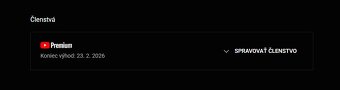 YouTube PREMIUM 12 M - 4