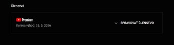 YouTube PREMIUM 12 M - 4