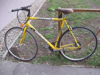 DEMA PRO Orion , Pionier 22, Dema Team frame race, - 4