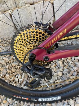 Specialized Sworks Enduro - 4