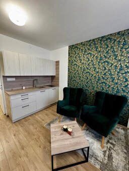 Krasna garzonka na prenajom - 4