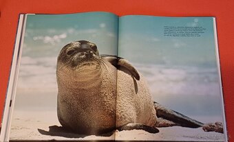 Morský breh-prírodovedná publikácia,Larousse,100% stav - 4